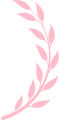 آیکون 1